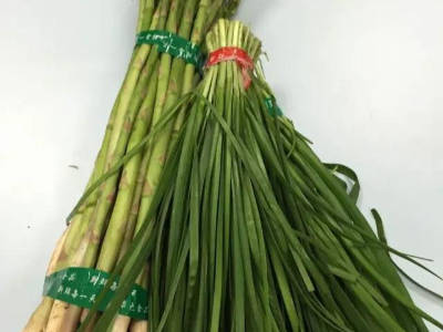 黄瓜视频污版下载带绑蔬菜